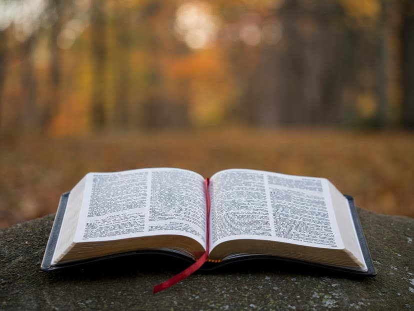 Weekly Prayer Meeting