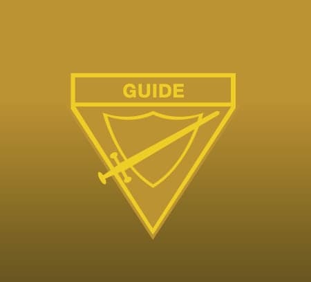 Guide level badge