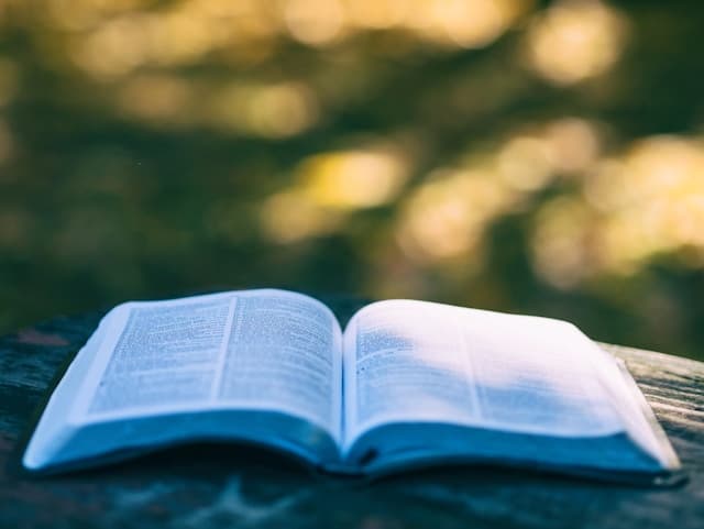 Open Bible